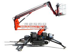 Platform Basket Spider 15.75 PRO