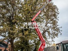 Platform Basket Spider 27.14