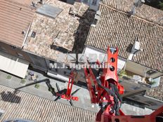 Platform Basket Spider 27.14