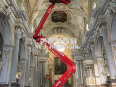 Platform Basket Spider 27.14